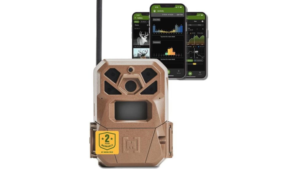 best cheap trail camera 