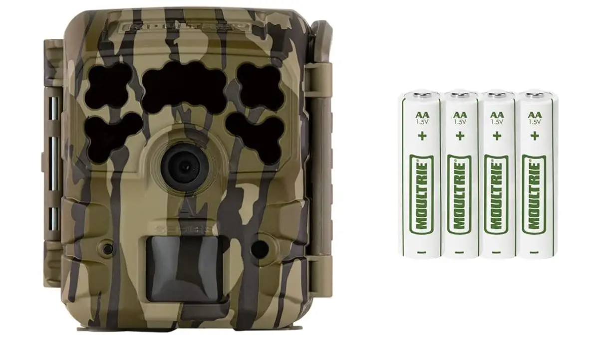 best cheap trail camera