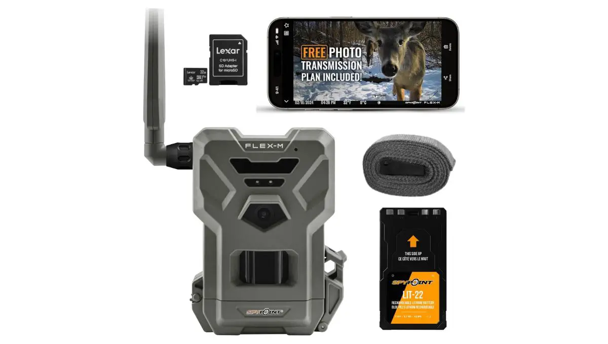 best cheap trail camera 