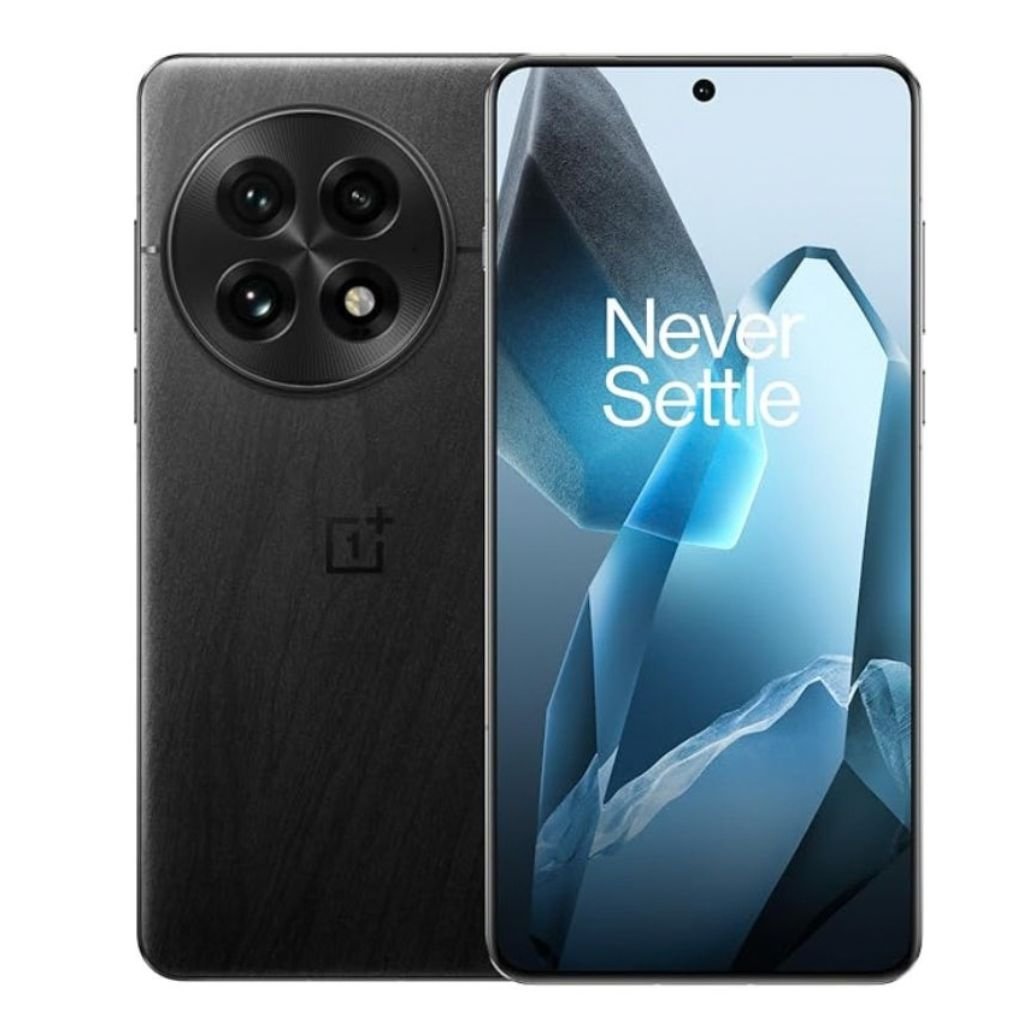 OnePlus 13